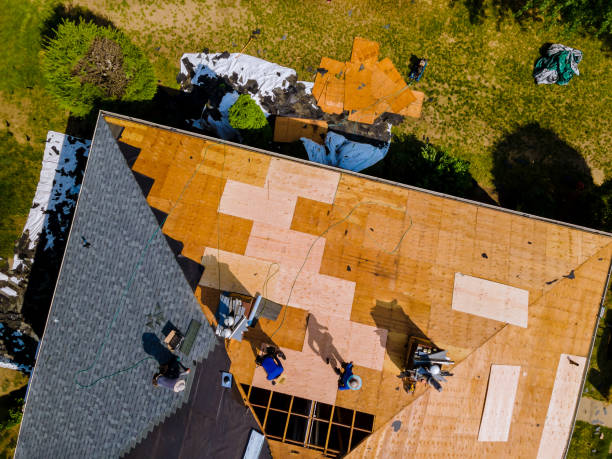 Best Metal Roofing Contractor  in Ballwin, MO